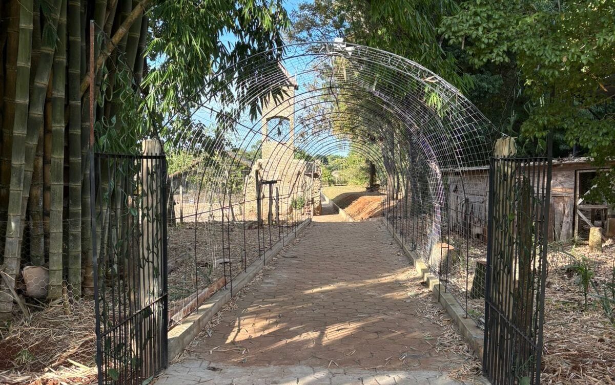 WhatsApp Image 2025-09-16 at 13.24.33 (4) – Copia